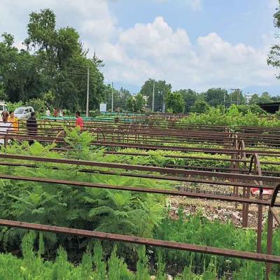 Whatsapp Image 2024 06 30 At 1.08.40 Pm